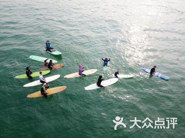 解答疑问,畅享野生蟋蟀怎么养问答交流平台