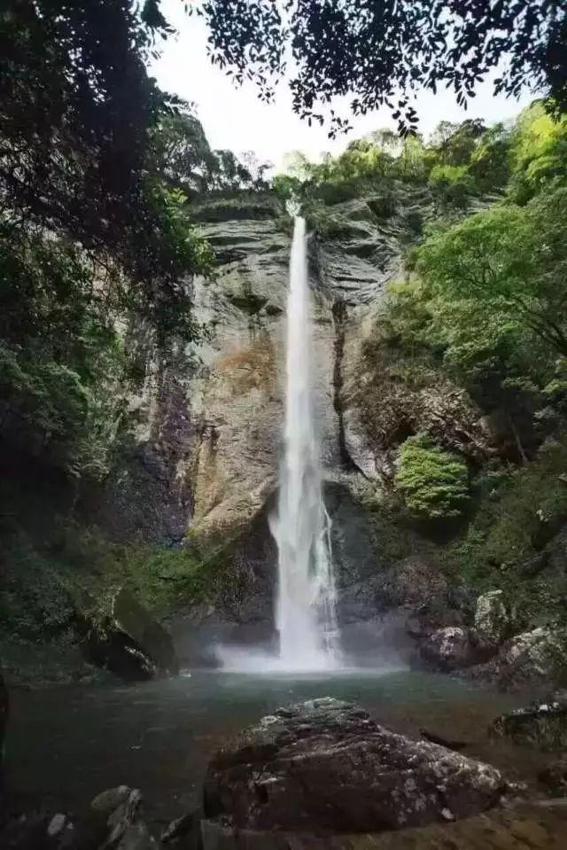 1155 什么鬼，秘密被打去败者组了游戏画面