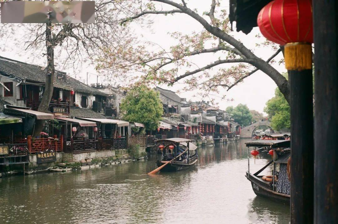 拯救蓝色小鸟